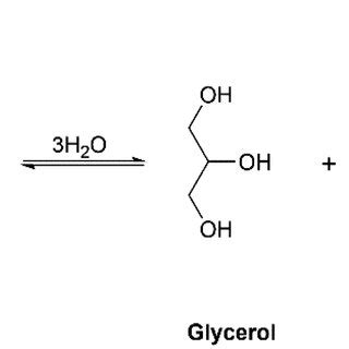 Structure Of Triglyceride With Its Hydrolysis Products Of Glycerol And