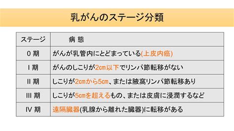 乳がん｜専門医監修の症状とセルフチェック 中日新聞linked