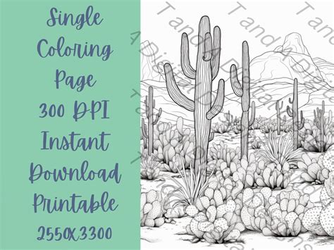 Desert Cactus Coloring Page Instant Download Relaxing Art Therapy Digital Coloring Sheets