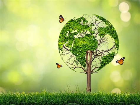 wallpapers wallpaperscom