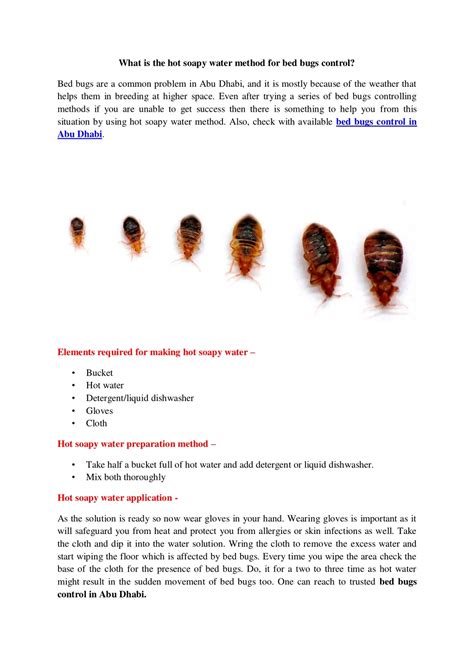 Ppt What Is The Hot Soapy Water Method For Bed Bugs Control Powerpoint Presentation Id8279545