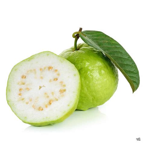 Tropical Guava — Green Acres Nursery & Supply