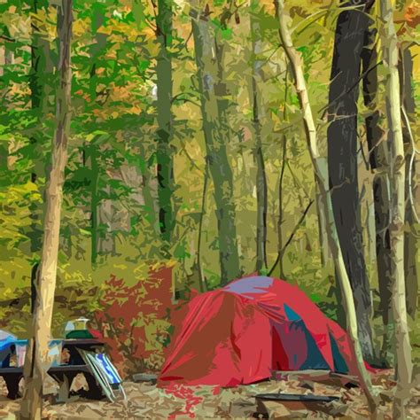 Camping - DC Area National Parks (U.S. National Park Service)