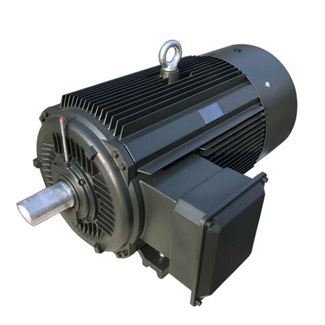 Milestone Ce Approved Y Series Ac Induction Motor Electric Motor