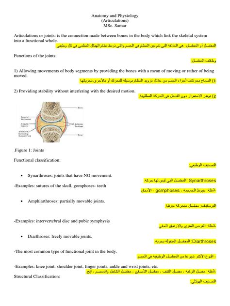 Anatomy and Physiology | PDF