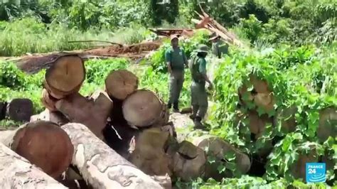 En Brasil denuncian amenazas contra activistas que protegen la Amazonía