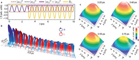 Rabi Oscillations Of Polarized Beams A Rabi Oscillations Theory