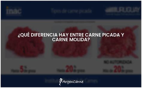 Diferencias entre carne picada y carne molida Cuál elegir ARGENCARNE