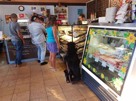 Bear Claw Bakery Cafe In San Pablo Ave Pinole Ca Usa