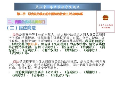 第六章 尊法学法守法用法 Iiword文档在线阅读与下载免费文档