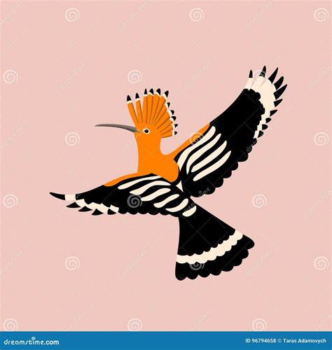 Bird Hoopoe Vector Illustration CartoonDealer 33669009