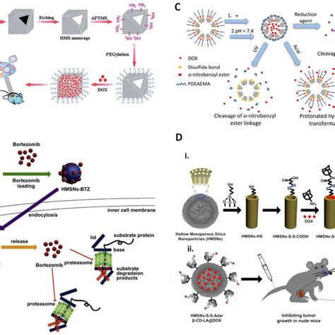 A Synthesis Of The Hollow Mesoporous Silica Hms Nanocages As