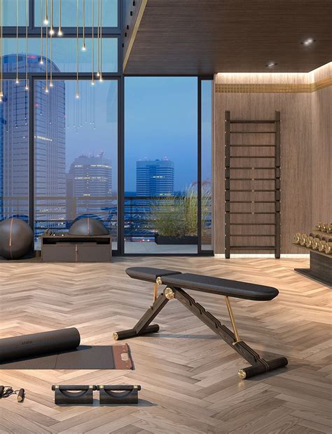 Luxury Home Gym Equipment Pent Home And Hotel Gym Home Gym Design