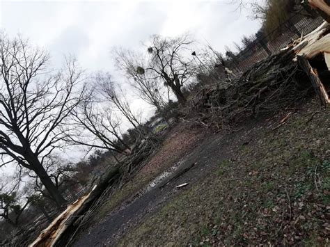 Wichura na Dolnym Śląsku Około 500 interwencji straży pożarnej