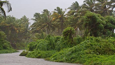 Indian monsoon becoming more erratic - study