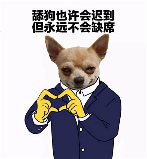 舔狗用英语怎么说，licking Dog？太直白了吧 知乎