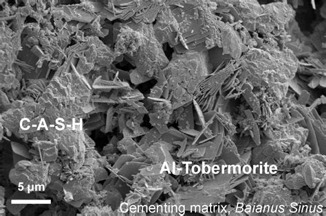 How seawater strengthens ancient Roman concrete | UNews