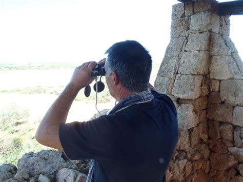 Noto Gef Hrtes Trekking Und Vogelbeobachtung Im Vendicari Reservat