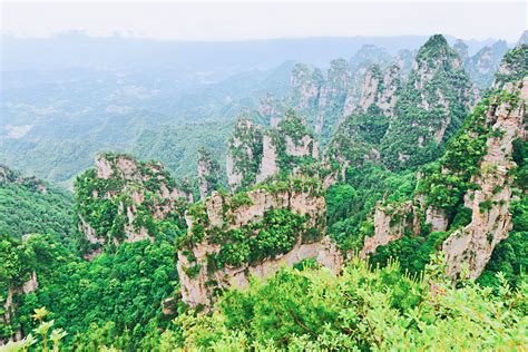 2019杨家界旅游攻略门票地址游记点评武陵源旅游景点推荐 去哪儿攻略社区