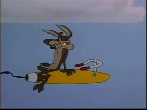 Wile E Coyote Acme