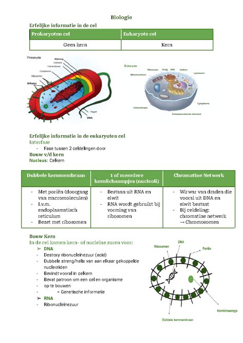 Biologie Toets Examen Erfelijke Informatie In De Cel Prokaryoten Cel