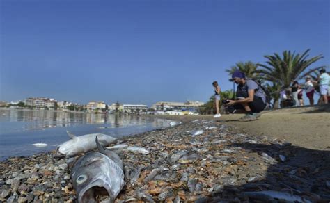 07 EFECTOS DE LA CONTAMINACIÓN EN LA HIDROSFERA BIOLOGÍA y GEOLOGÍA