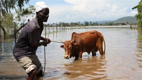 Inundaciones En Kenia Dejan Al Menos 63 Muertos