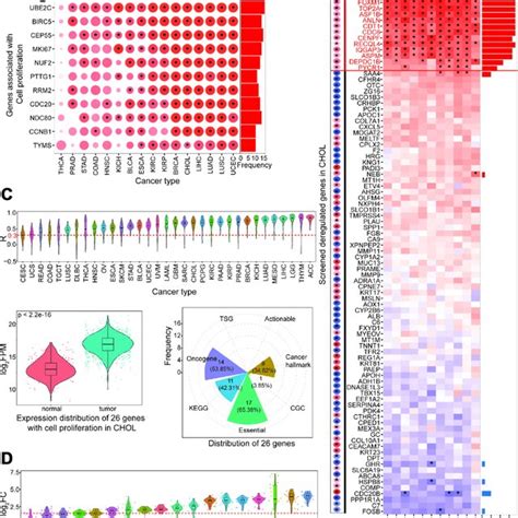 Screening Candidate Genes Associated With Cell Proliferation A