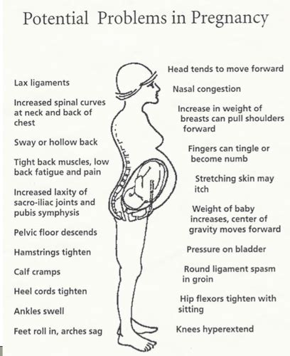 Antepartum Postpartum Flashcards Quizlet