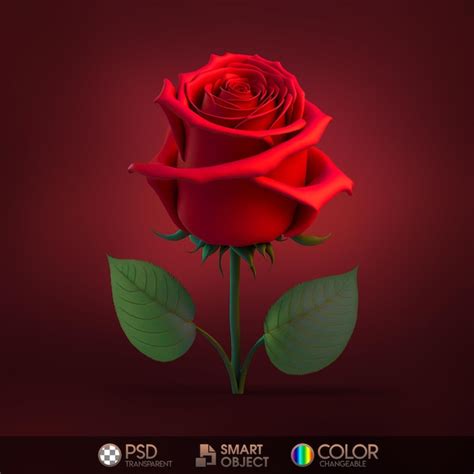 Uma Rosa Vermelha As Palavras Smart Color PSD Premium