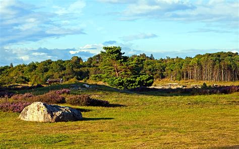 Campo bosque el cielo hierba árboles piedra casa Suecia Condado