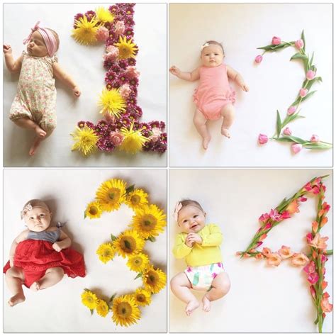 Unique Monthly Baby Photo Ideas Idea Hostalelportalico