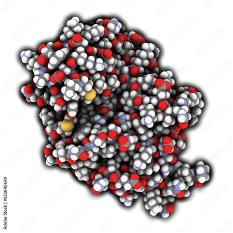 Carbapenemase Carbapenem Antibiotic Resistance Enzyme Carbapenemase