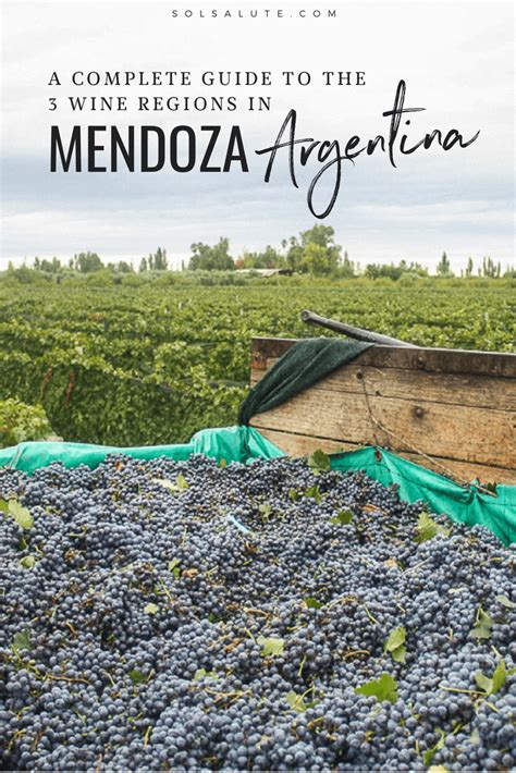 The Best Wineries In Mendoza A Wine Lovers Complete Guide South