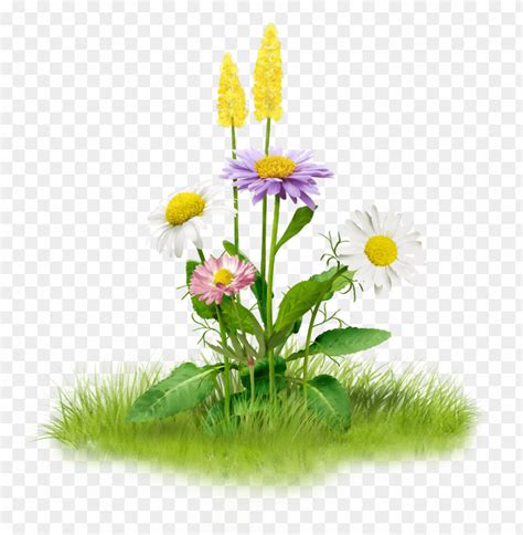 Details 300 Nature Background Hd Png Abzlocal Mx