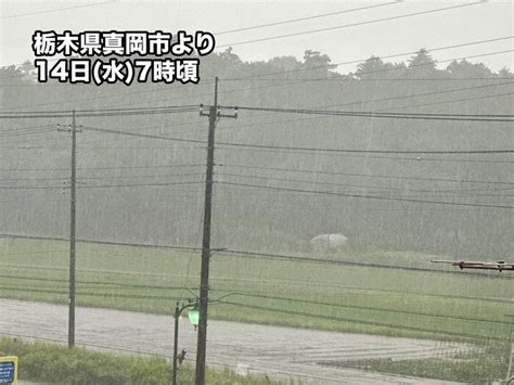 朝から局地的に激しい雨 広範囲で大気の状態不安定 急な雷雨に注意（2023年6月14日）｜biglobeニュース