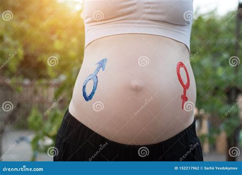 Gender Symbols Drawn on a Pregnant Female Belly. Pregnant Concept Stock ...