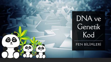 Dna Ve Genetik Kod Fen Bilimleri 8sınıf Konu Anlatımı Youtube