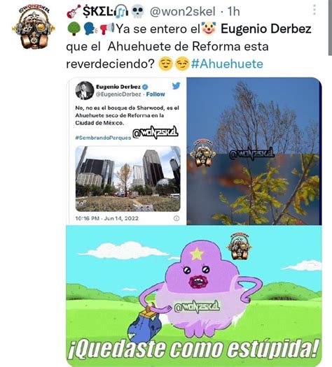 Memes Eugenio Derbez Es El Gran Perdedor Ante Los Brotes Verdes Del