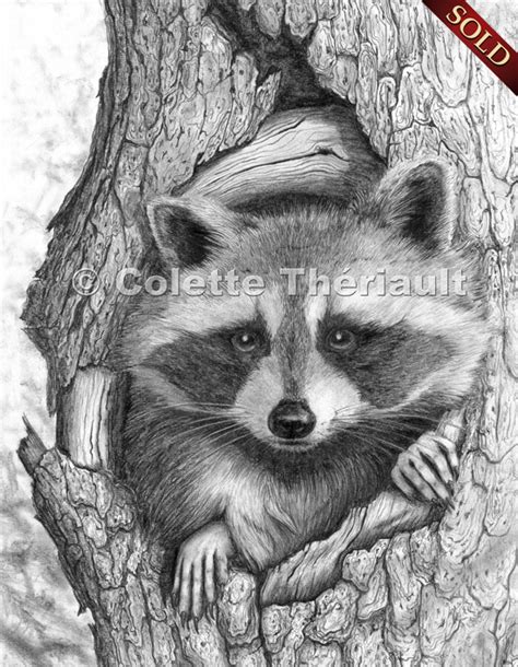 Graphite Pencil Sketch At Paintingvalley Explore Collection Of