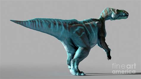 Artwork Of The Dinosaur Iguanodon Photograph By Mark Garlickscience