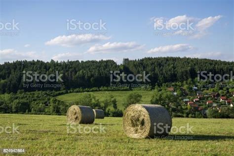 빨 대가을 숲 근처 풀밭에 롤 0명에 대한 스톡 사진 및 기타 이미지 0명 가을 건조한 Istock