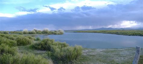 Reserva Laguna Llancanelo Pesca Y Caza En La Naturaleza Dia De Pesca