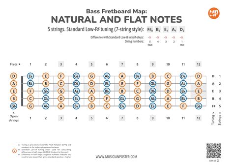 5-String Bass Neck Map With All Notes In F#-Standard Tuning