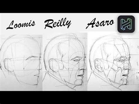 Logra El Parecido En Tu Retrato Con El M Todo Loomis Reilly Asaro