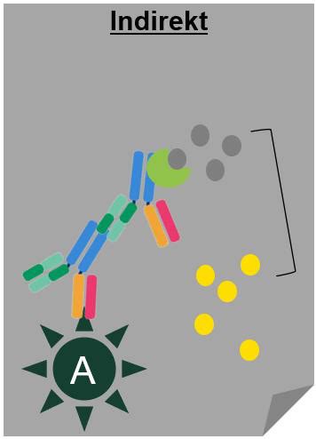 Biopsychologische Methoden Karteikarten Quizlet