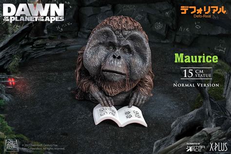 Biographers explain the rise and success of the talented michelle buck 13