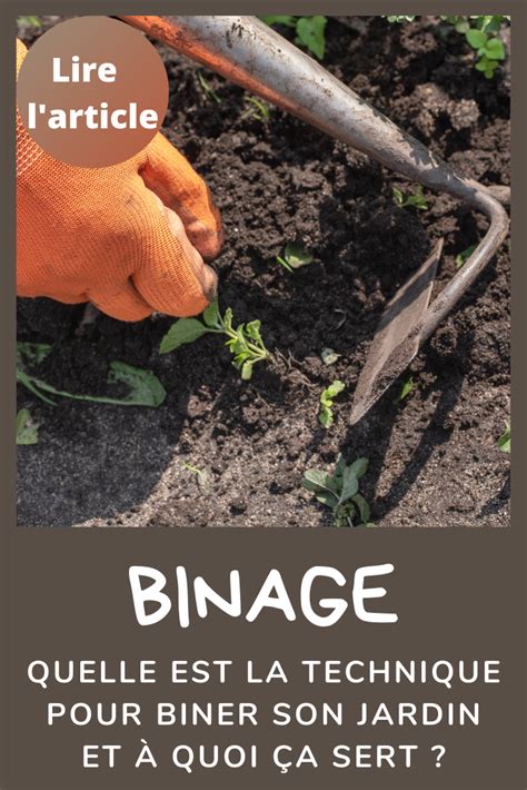 Binage Quelle Est La Technique Pour Biner Son Jardin Et Quoi A