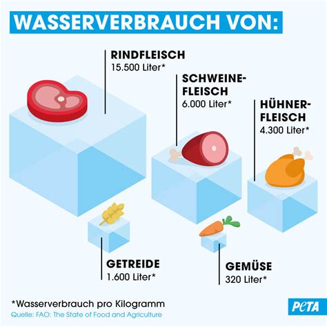 Avocado Hoher Wasserverbrauch und schlecht für Umwelt