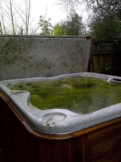 Hot Tub Water Is Green Here S How To Fix It